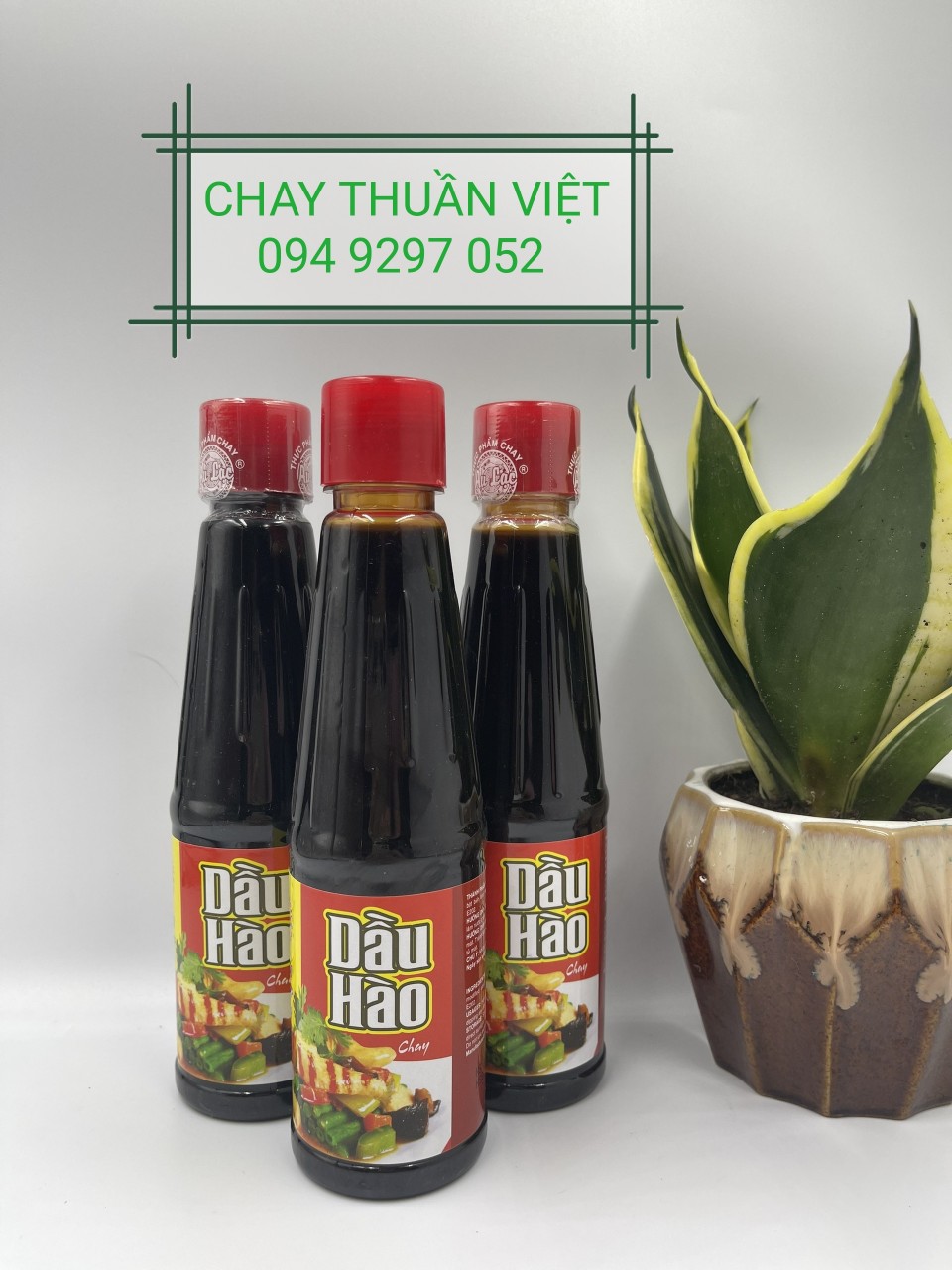 Dầu Hào - Chay Thuần Việt